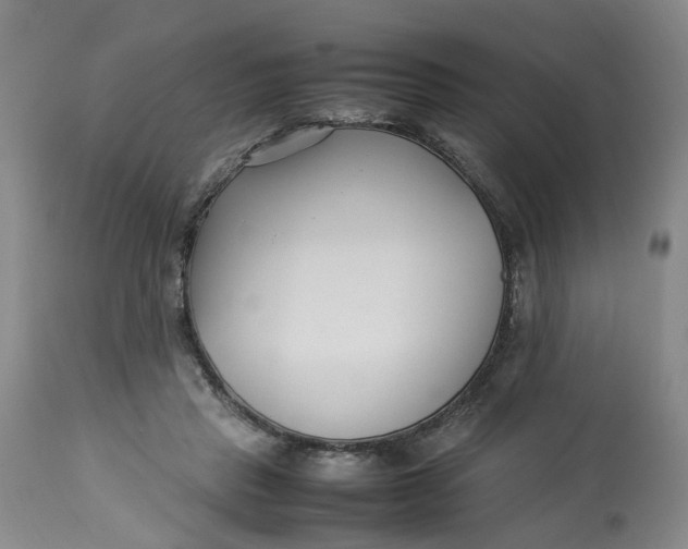 X0000113210453200910011324