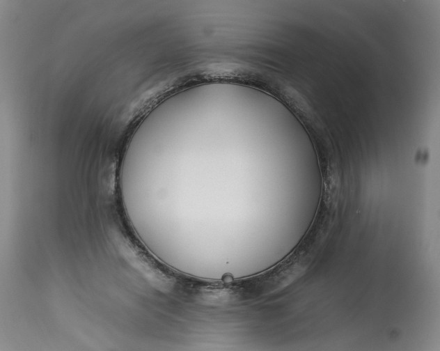 X0000113210454200910011324