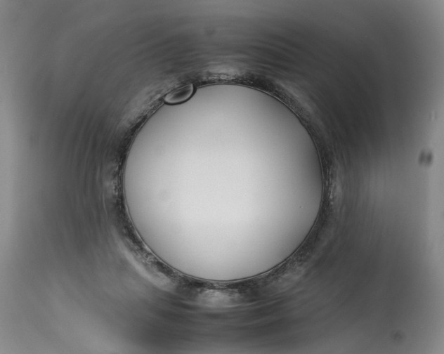 X0000113210455200910011324