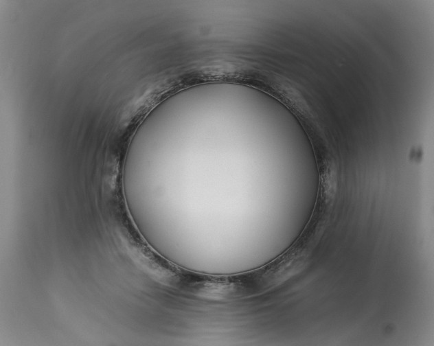 X0000113210458200910011324