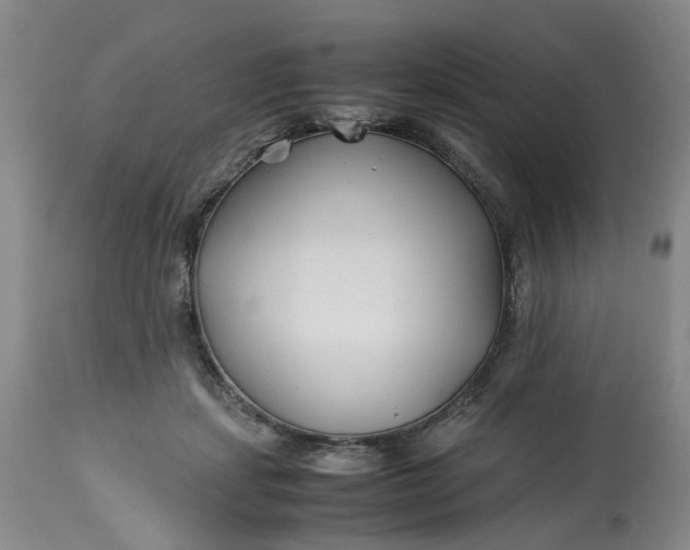 X0000113210459200910011324