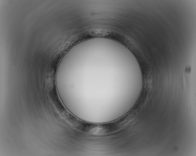 X0000113210460200910011324