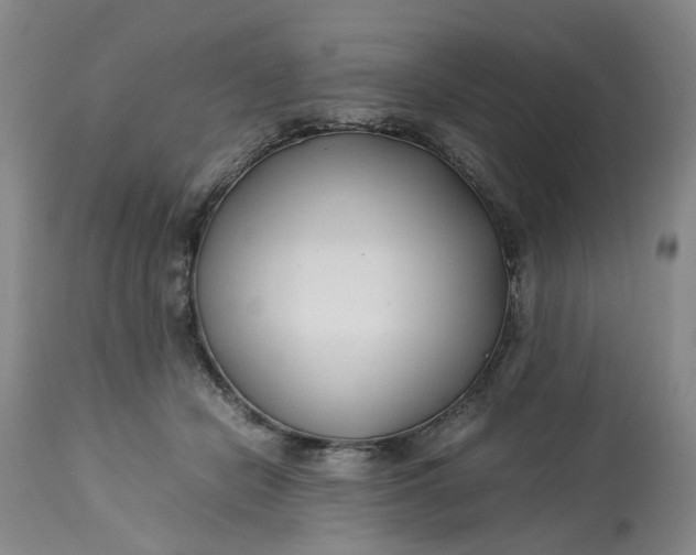 X0000113210462200910011324