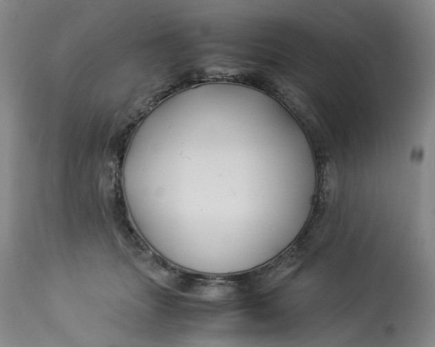 X0000113210463200910011324