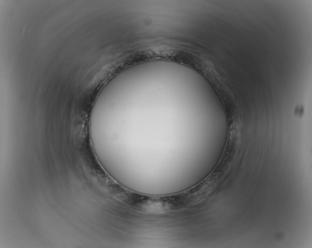 X0000113210464200910011324