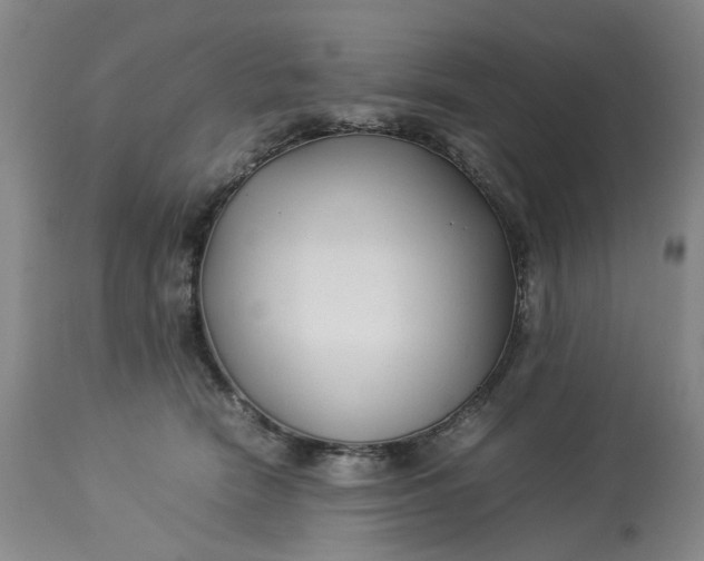 X0000113210466200910011324