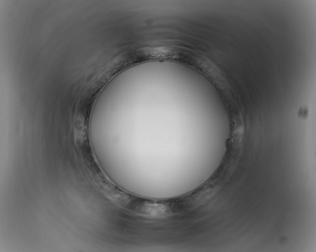 X0000113210469200910011324