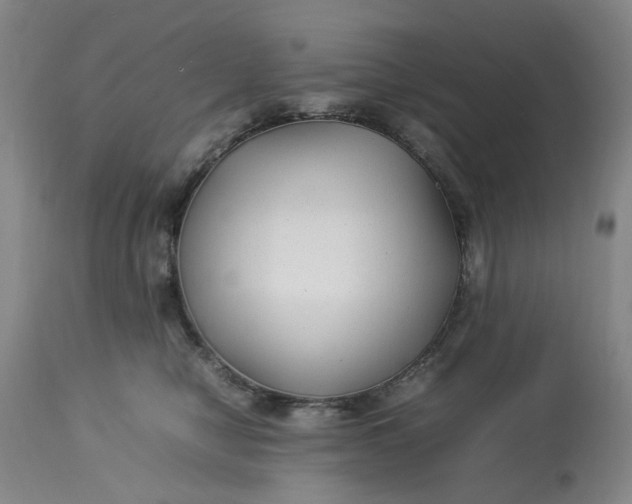 X0000113210470200910011324