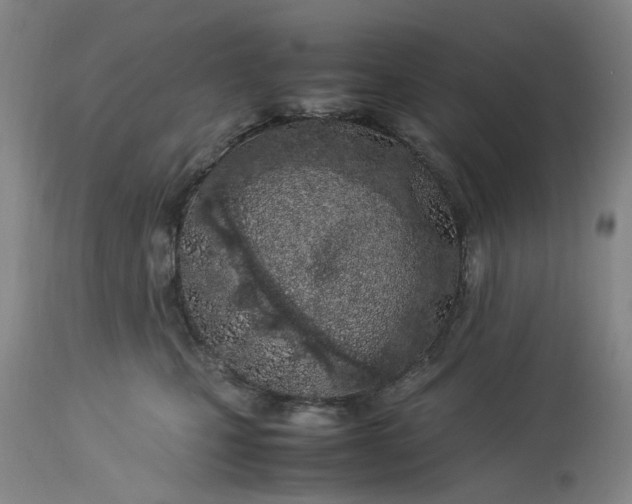 X0000113210471200910011324