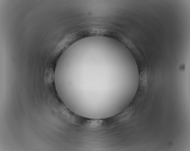 X0000113210474200910011324