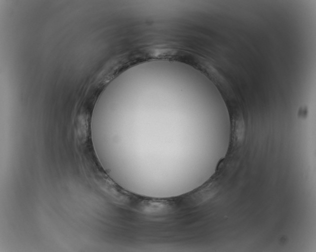 X0000113210475200910011324