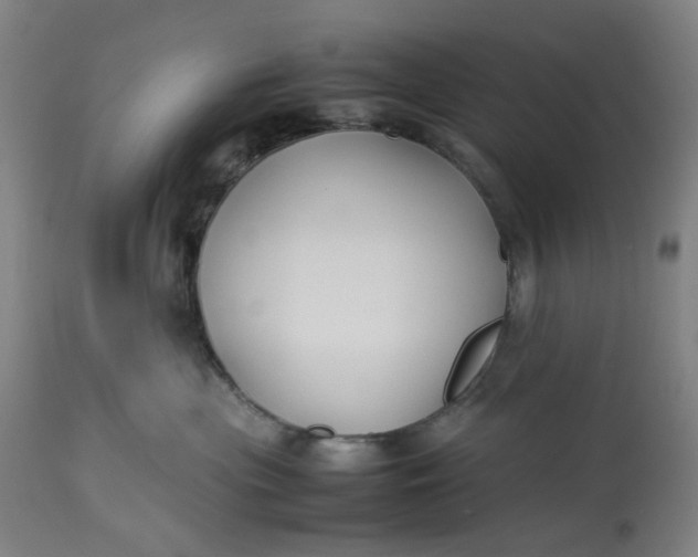 X0000113210477200910011324