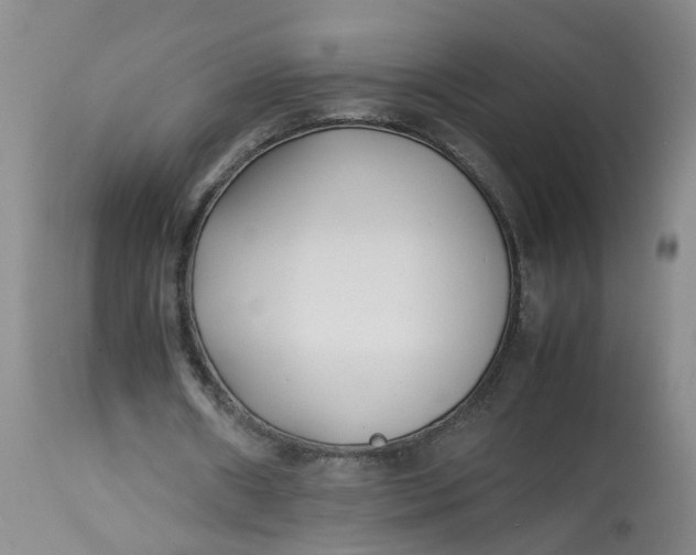 X0000113210482200910011323