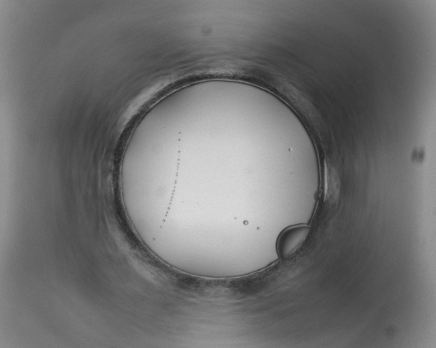 X0000113210483200910011323