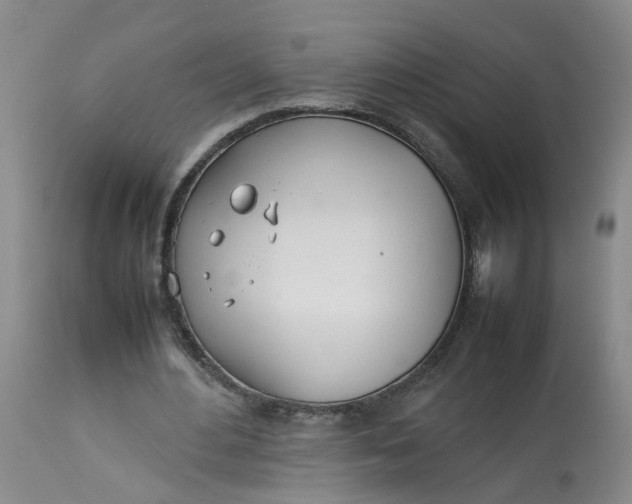 X0000113210484200910011323