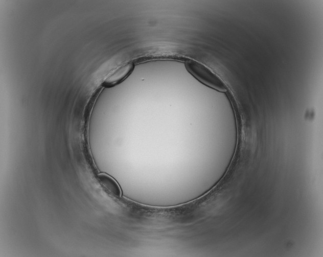 X0000113210485200910011323