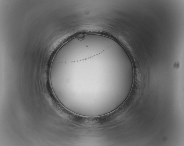 X0000113210487200910011323