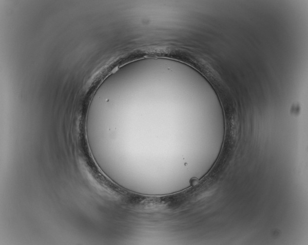 X0000113210491200910011323