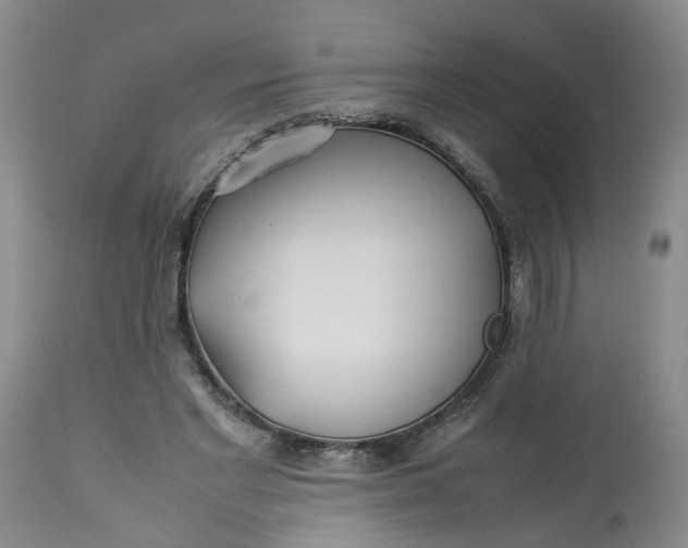 X0000113210493200910011323