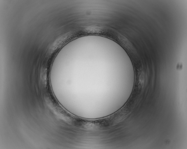 X0000113210494200910011323