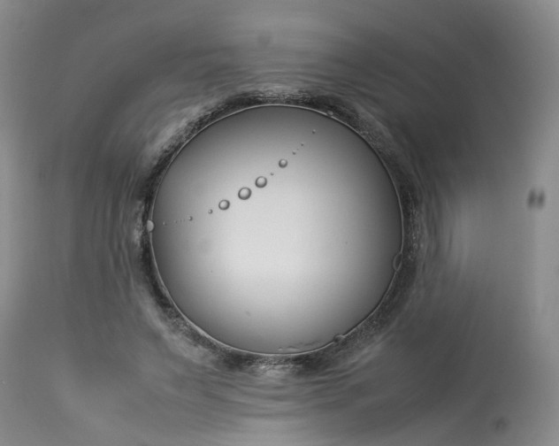 X0000113210495200910011323