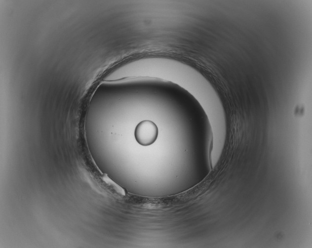 X0000113210496200910011323