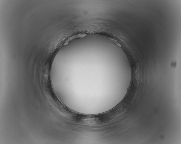 X0000113210499200910011323