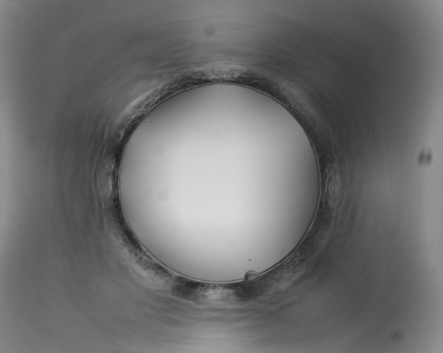 X0000113210501200910011323