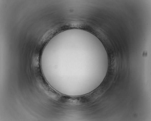 X0000113210502200910011323