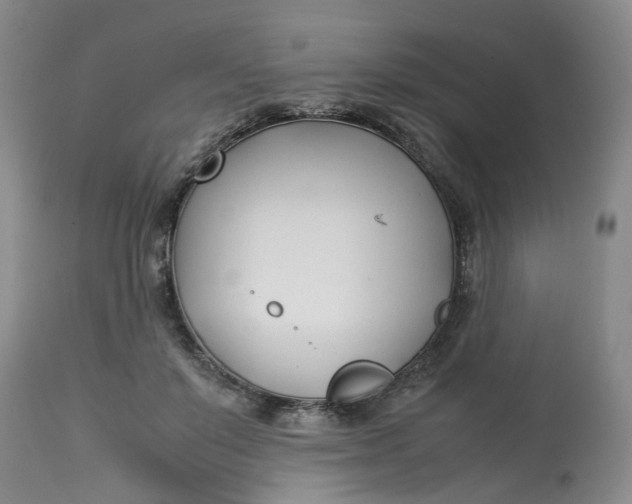 X0000113210503200910011323