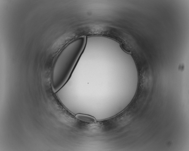 X0000113210505200910011323