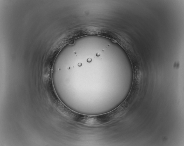 X0000113210507200910011323