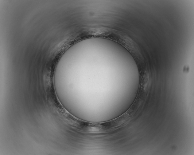 X0000113210510200910011323