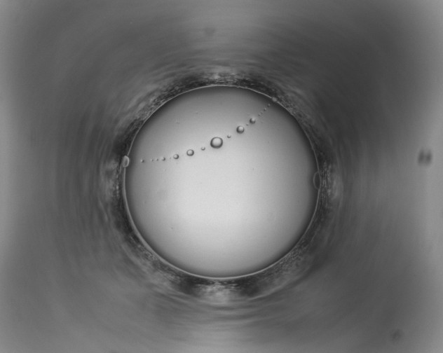 X0000113210511200910011323