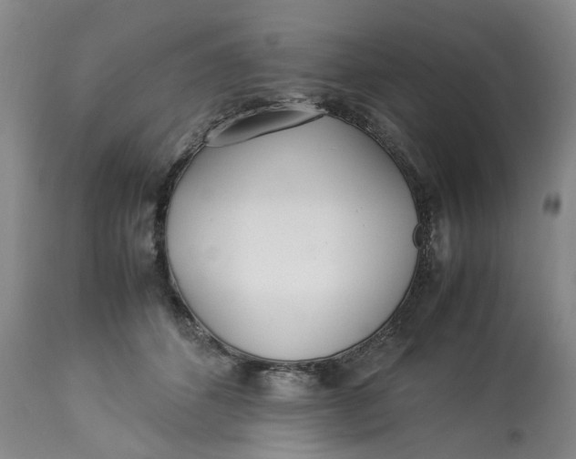 X0000113210512200910011323