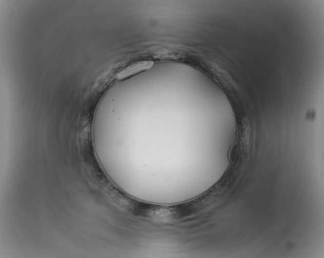 X0000113210513200910011323