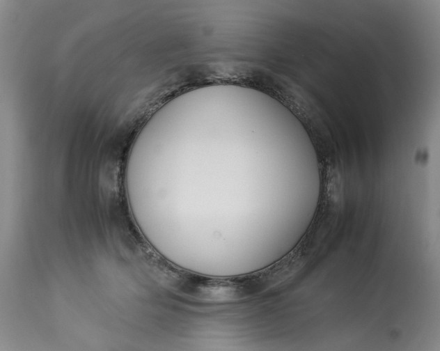 X0000113210514200910011323