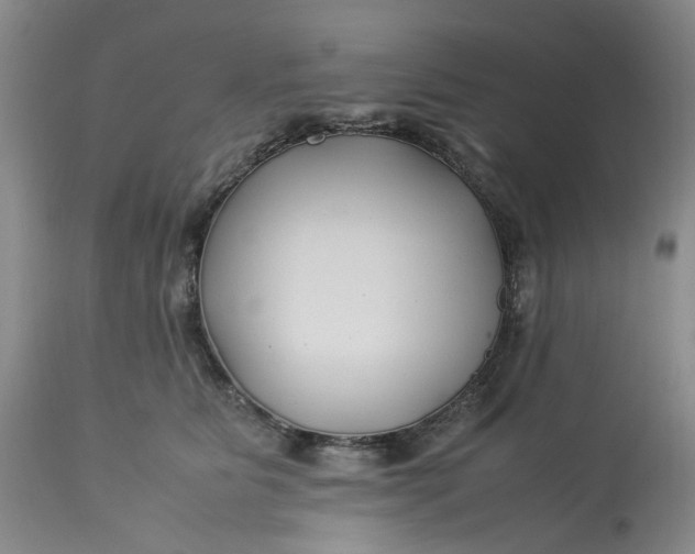 X0000113210515200910011323