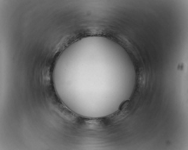 X0000113210516200910011323