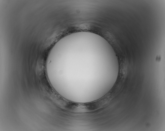 X0000113210518200910011323