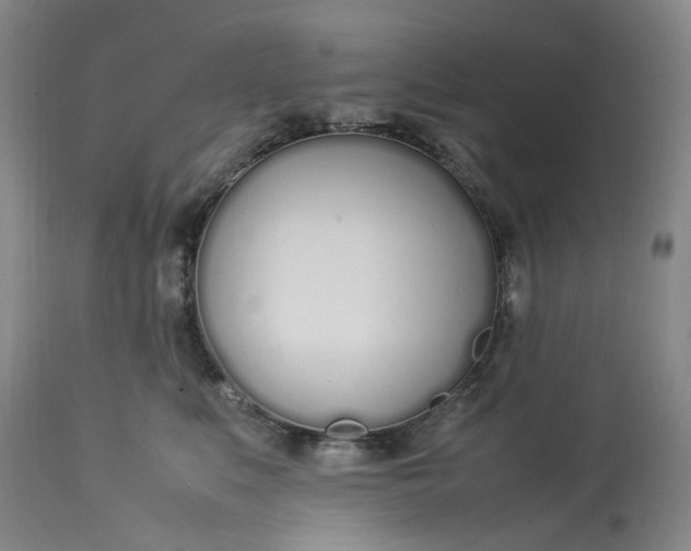 X0000113210519200910011323