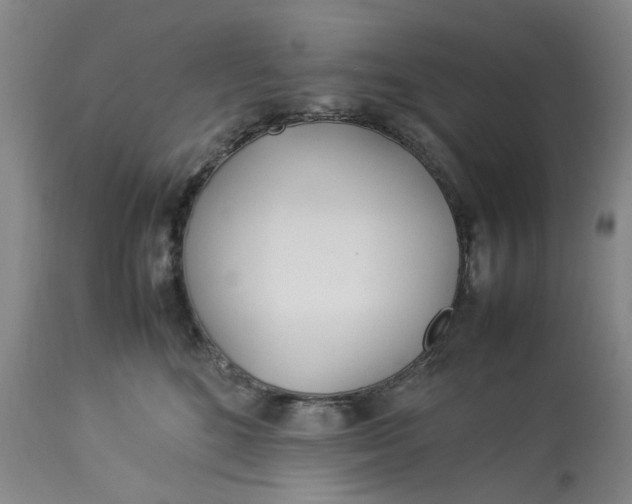 X0000113210520200910011323