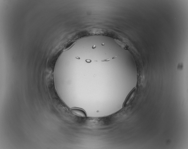 X0000113210521200910011323