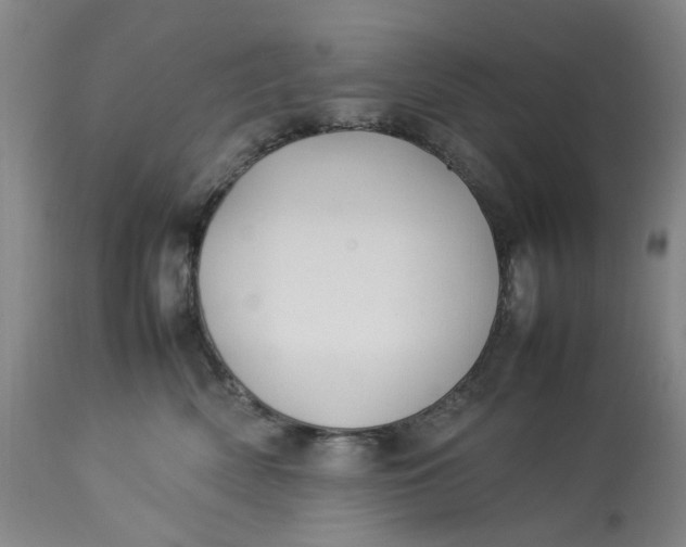 X0000113210522200910011323