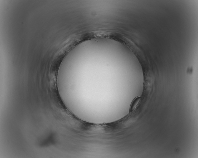 X0000113210523200910011323