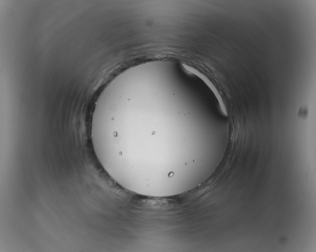 X0000113210524200910011323