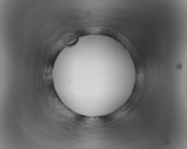 X0000113210525200910011323