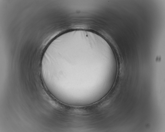 X0000113210529200910011322