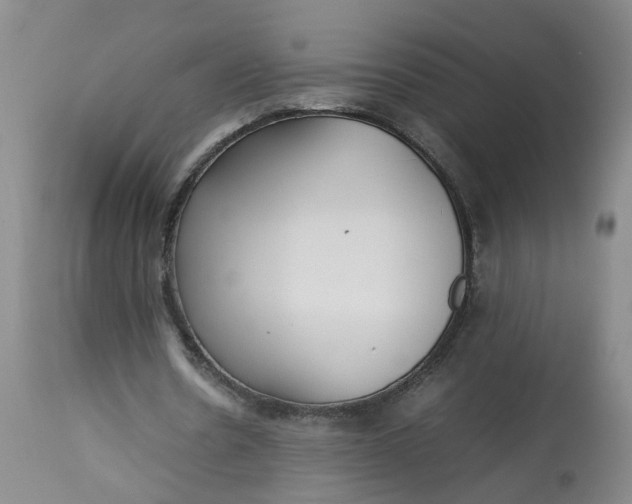 X0000113210530200910011322