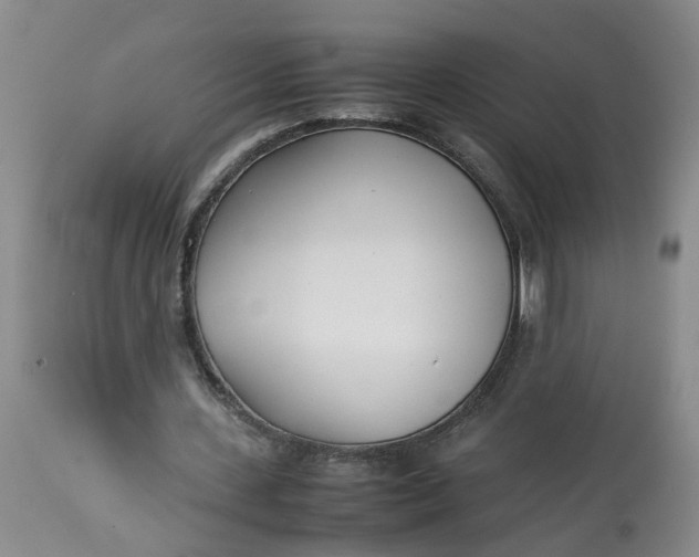 X0000113210531200910011322